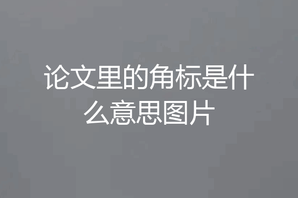 论文里的角标是什么意思图片