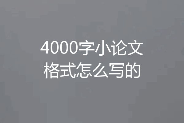 4000字小论文格式怎么写的