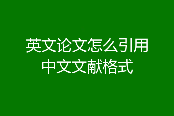 英文论文怎么引用中文文献格式