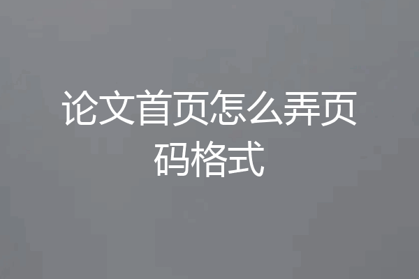 论文首页怎么弄页码格式