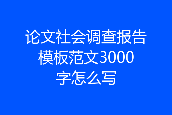 论文社会调查报告模板范文3000字怎么写