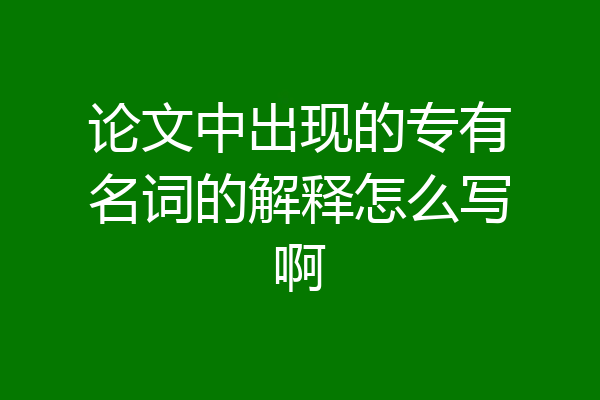 论文中出现的专有名词的解释怎么写啊