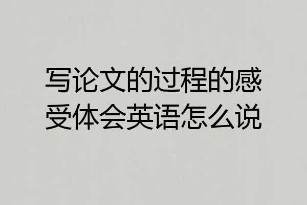 写论文的过程的感受体会英语怎么说