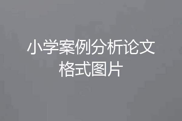 小学案例分析论文格式图片