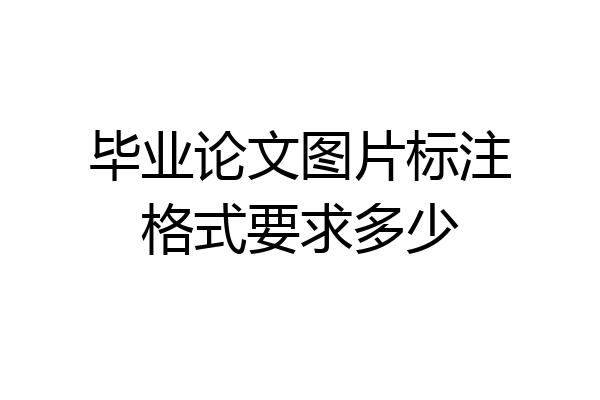 毕业论文图片标注格式要求多少