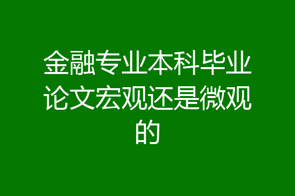 金融专业本科毕业论文宏观还是微观的