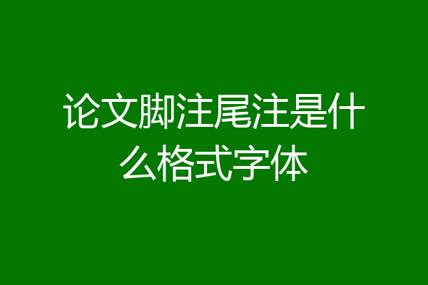 论文脚注尾注是什么格式字体