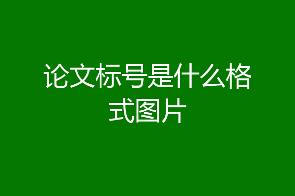论文标号是什么格式图片