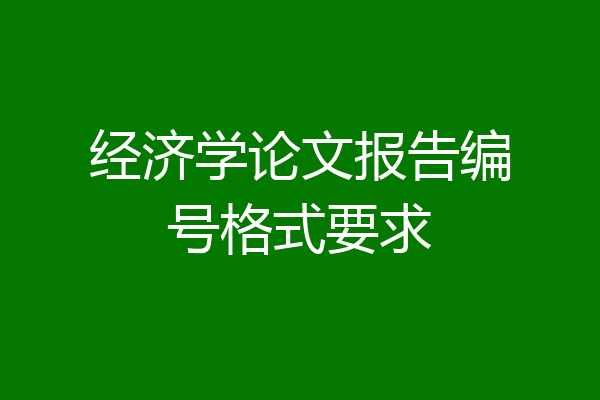 经济学论文报告编号格式要求