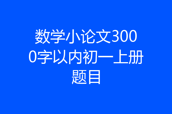 数学小论文3000字以内初一上册题目