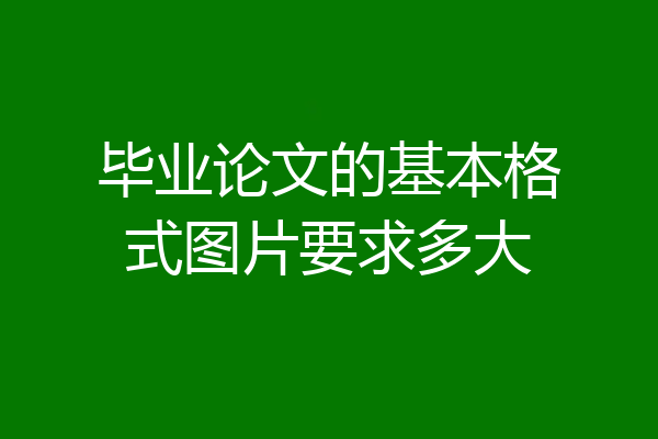 毕业论文的基本格式图片要求多大