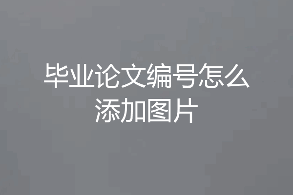 毕业论文编号怎么添加图片
