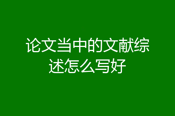 论文当中的文献综述怎么写好