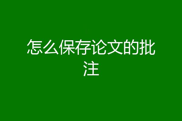 怎么保存论文的批注