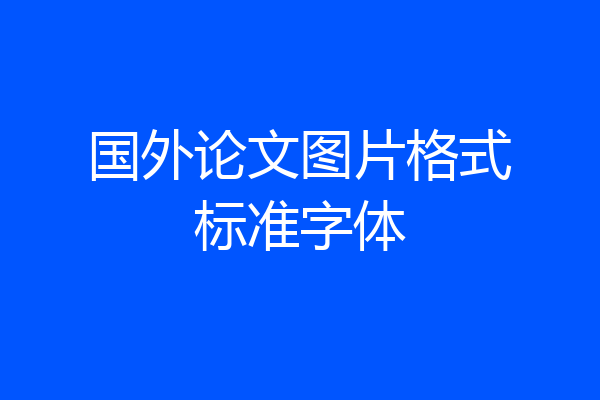 国外论文图片格式标准字体