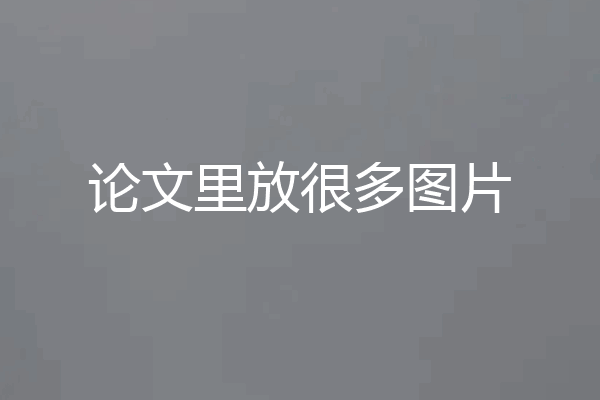论文里放很多图片