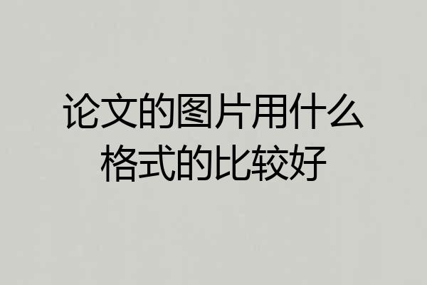 论文的图片用什么格式的比较好