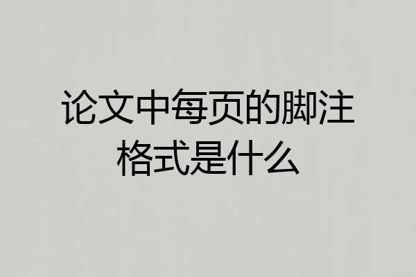 论文中每页的脚注格式是什么
