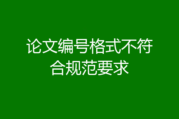 论文编号格式不符合规范要求