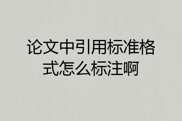 论文中引用标准格式怎么标注啊