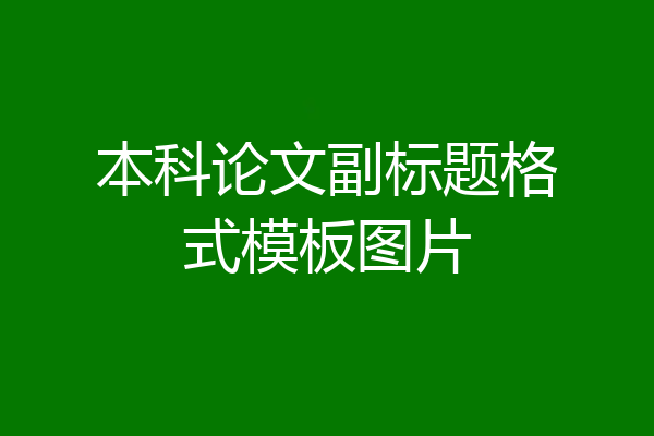 本科论文副标题格式模板图片