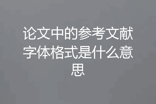 论文中的参考文献字体格式是什么意思