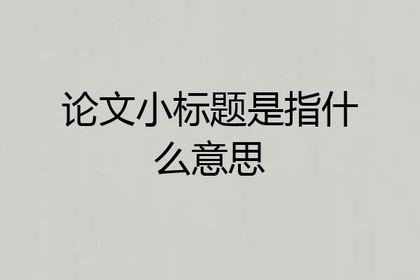 论文小标题是指什么意思