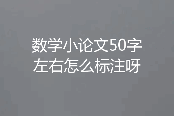 数学小论文50字左右怎么标注呀