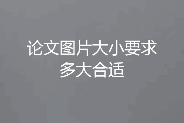 论文图片大小要求多大合适