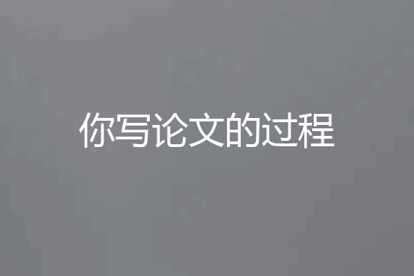 你写论文的过程