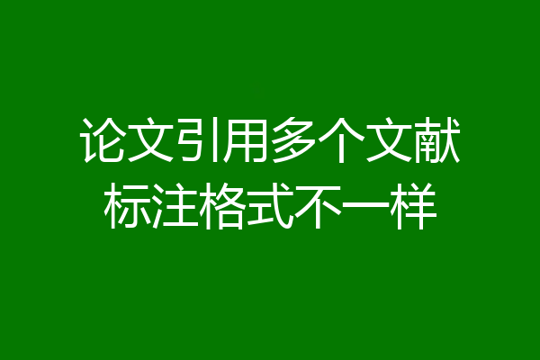 论文引用多个文献标注格式不一样