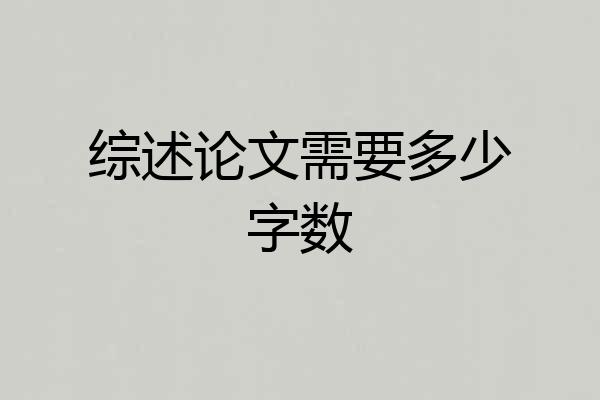 综述论文需要多少字数