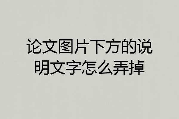 论文图片下方的说明文字怎么弄掉