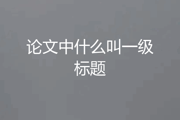 论文中什么叫一级标题
