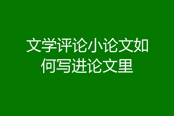 文学评论小论文如何写进论文里