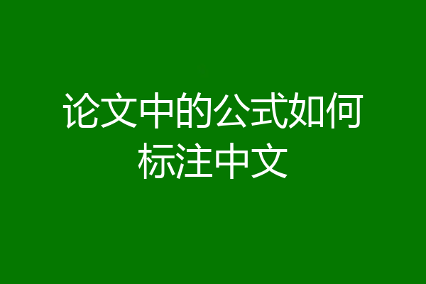 论文中的公式如何标注中文