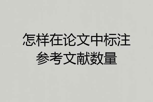 怎样在论文中标注参考文献数量