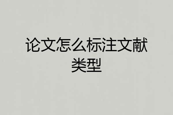 论文怎么标注文献类型