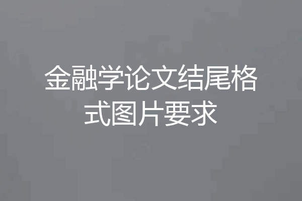 金融学论文结尾格式图片要求