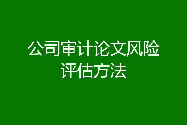公司审计论文风险评估方法