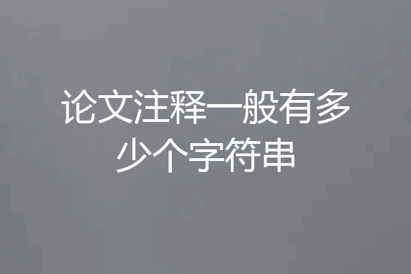 论文注释一般有多少个字符串