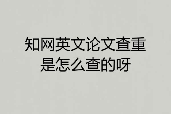 知网英文论文查重是怎么查的呀