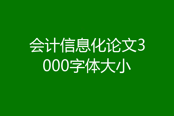 会计信息化论文3000字体大小