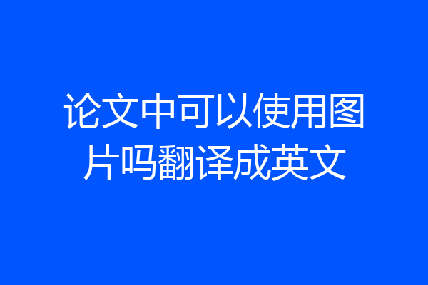 论文中可以使用图片吗翻译成英文