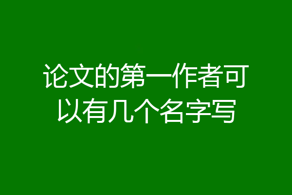 论文的第一作者可以有几个名字写