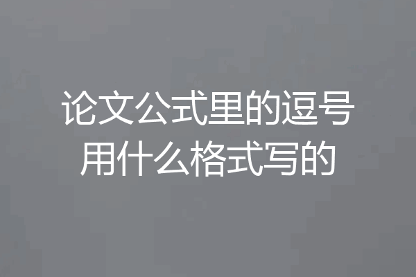 论文公式里的逗号用什么格式写的