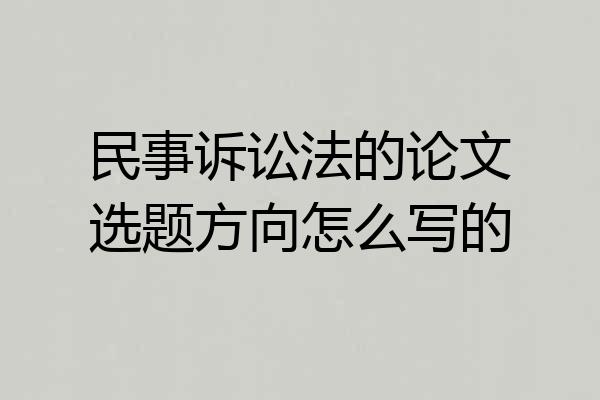 民事诉讼法的论文选题方向怎么写的
