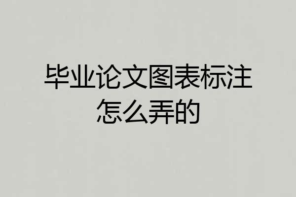 毕业论文图表标注怎么弄的