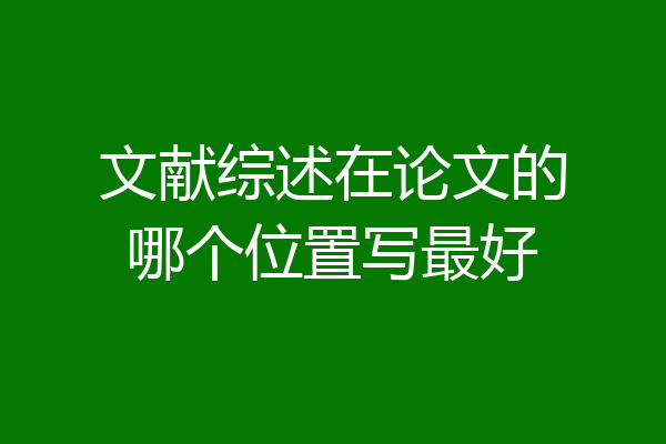 文献综述在论文的哪个位置写最好