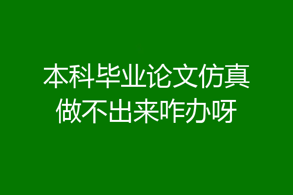 本科毕业论文仿真做不出来咋办呀